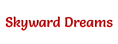skyward dreams banner